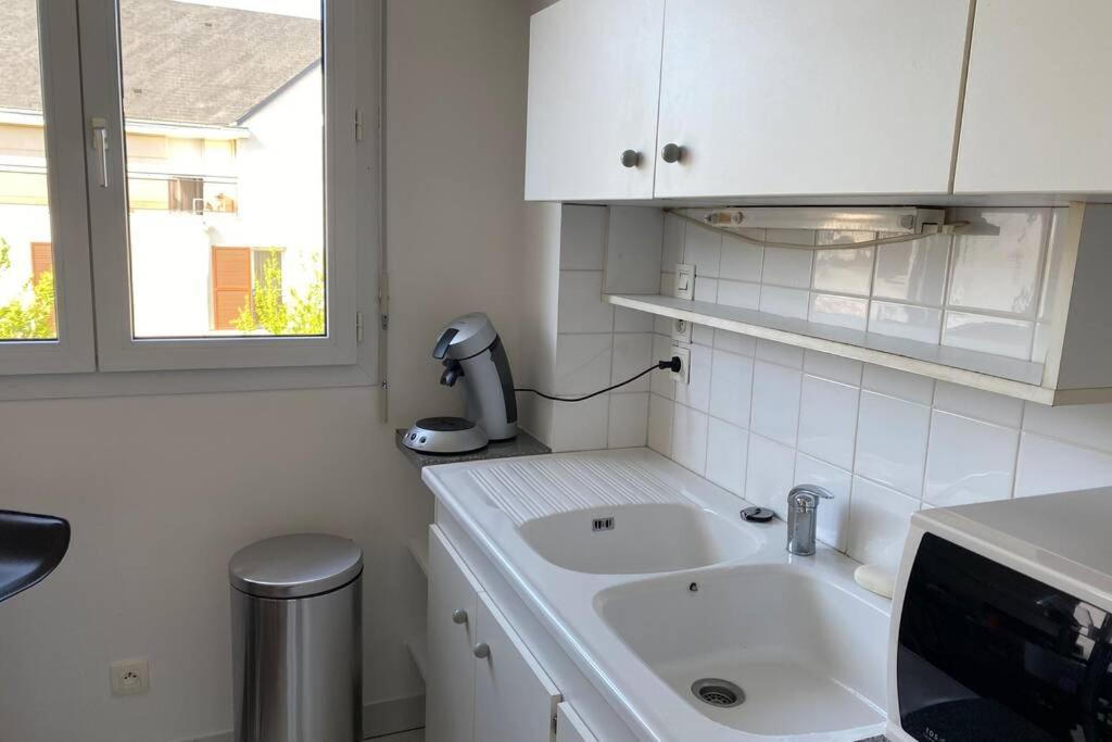 Charmant appartement en bord de Cher Saint-Avertin Extérieur photo
